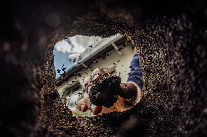 Collection 111 photo by Marcin Kaźmieruk