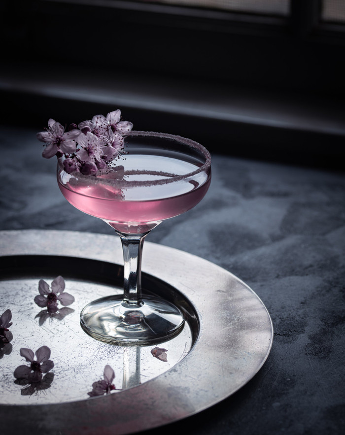 Collection 59 photo by Julia Wharington