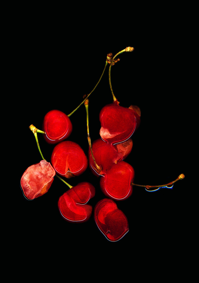 Collection 59 photo by Anne Mason-hoerter