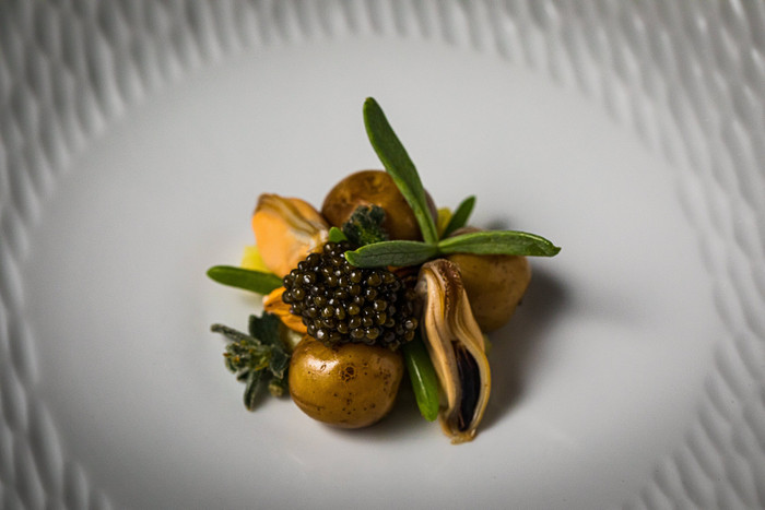 Collection 47 photo by Lyan van Furth