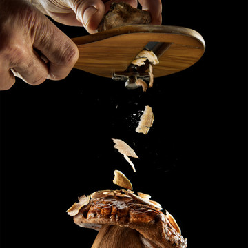 Gallery photo 8